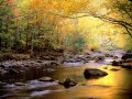 Golden_Waters_Great_Smoky_Mountains_National_Park_Tennessee.jpg